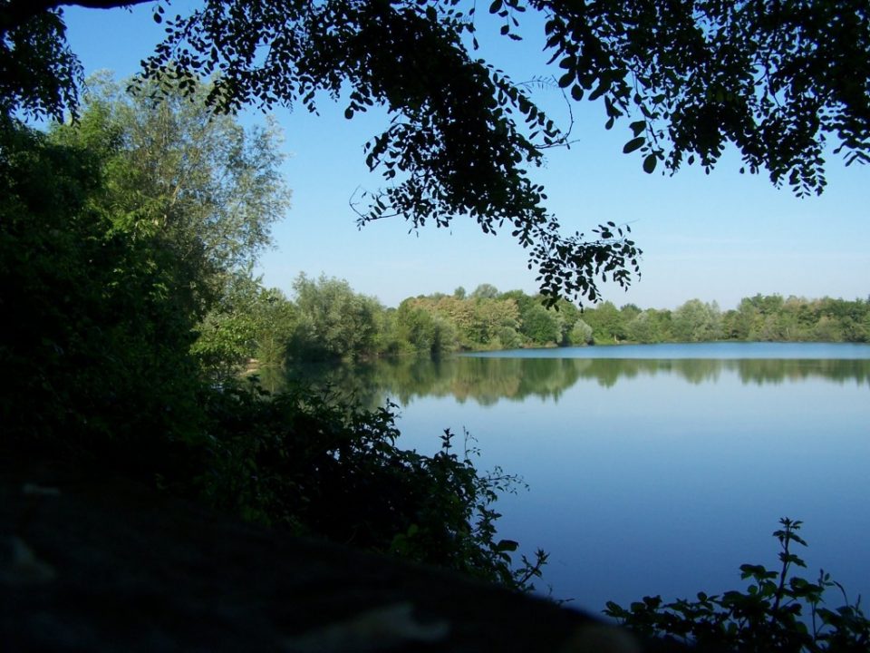 About The Lake Lesmont Fishing Lake