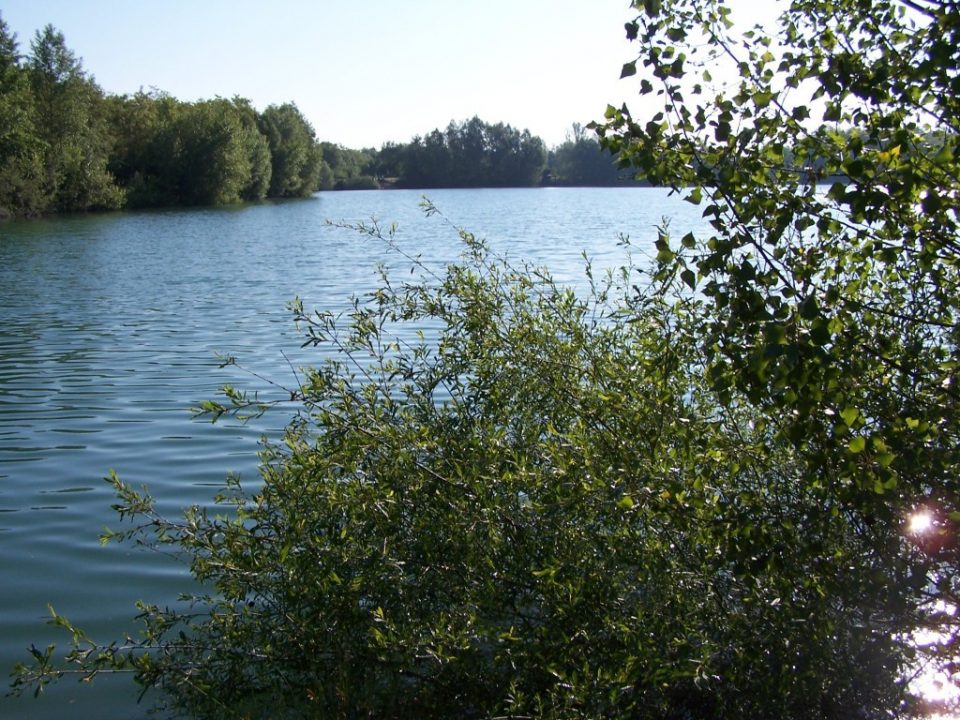 About The Lake Lesmont Fishing Lake