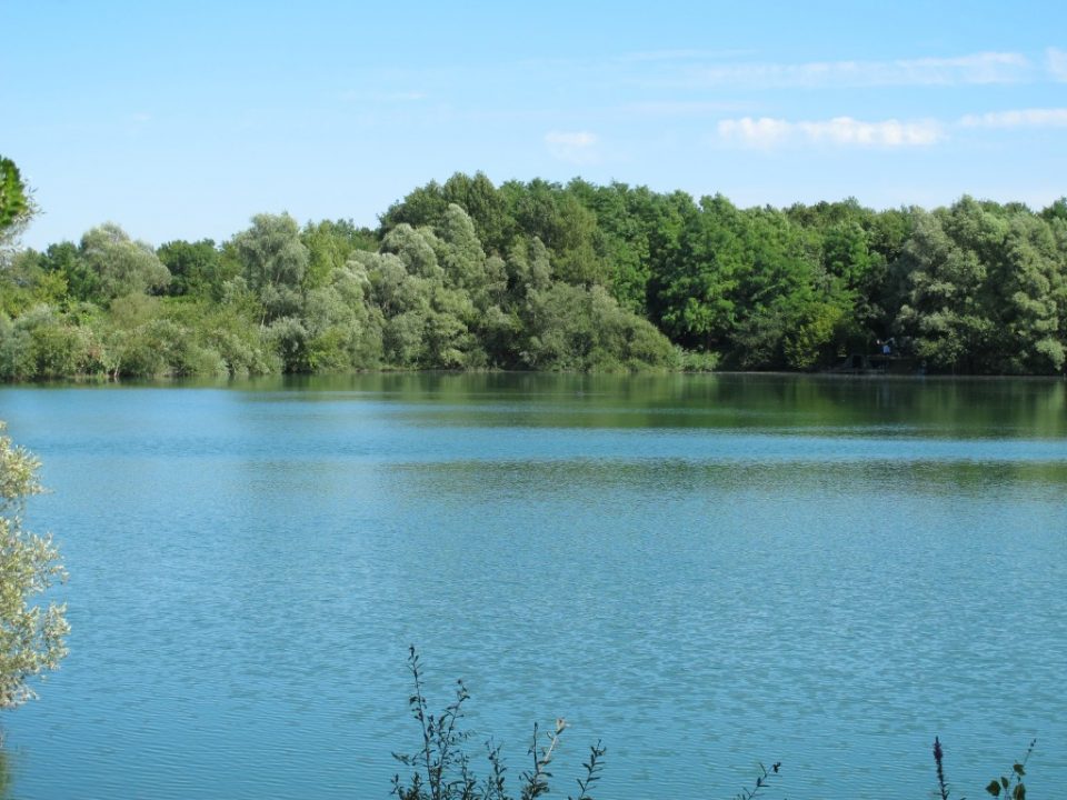 About The Lake Lesmont Fishing Lake