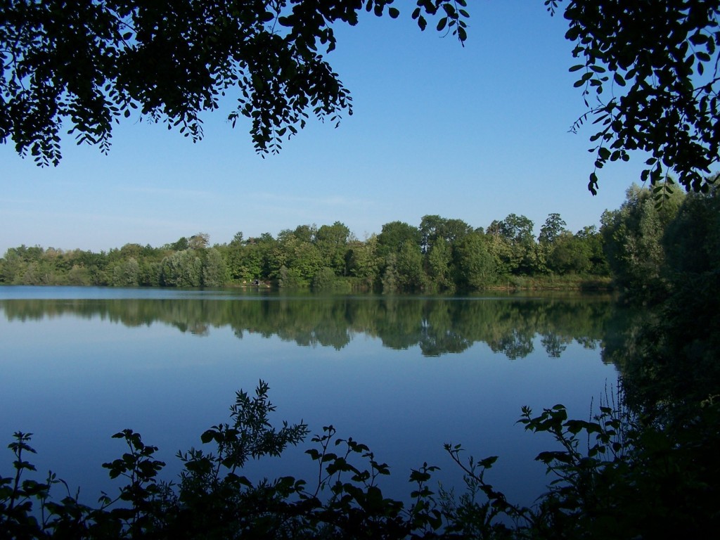 About The Lake Lesmont Fishing Lake